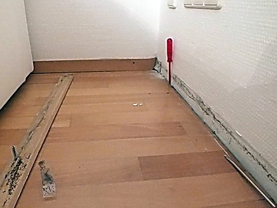 Gutachter Schimmelpilz Schlafzimmer Schimmel hinter den Fußleisten Schimmelpilz Schlafzimmer Schimmel hinter den Fußleisten